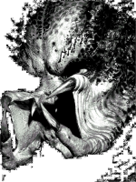 predator